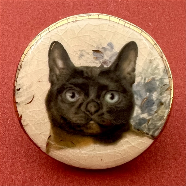 Ceramic studio button of a cat by Stella Rzanski. 