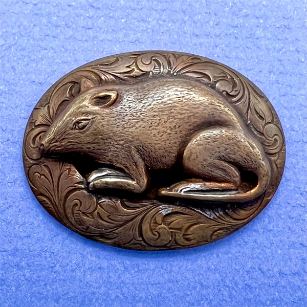 Unique brass button of an Opossum (?).