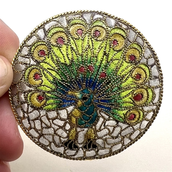 Extra large modern plique-a-jour peacock button.