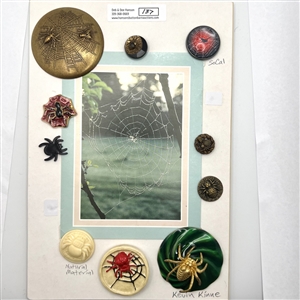 Card of ten spider buttons.