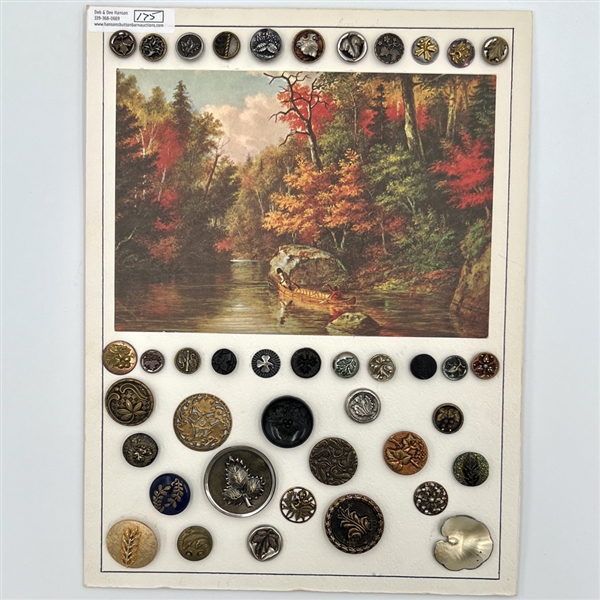 Card of forty plant life buttons.