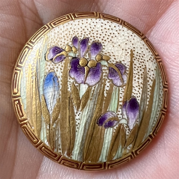 Satsuma button of iris, spring flowers. 