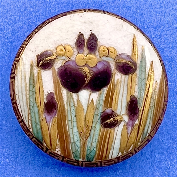 Satsuma button of an Iris bloom.