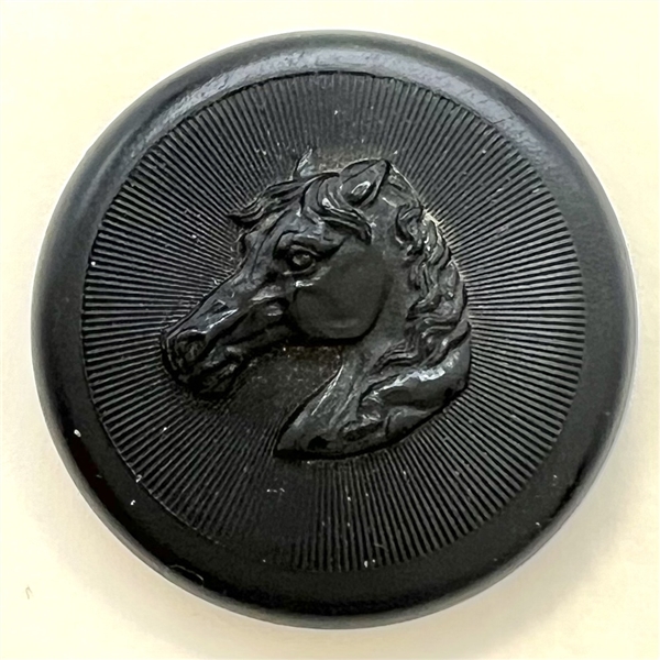 Horn button of profile of horse.