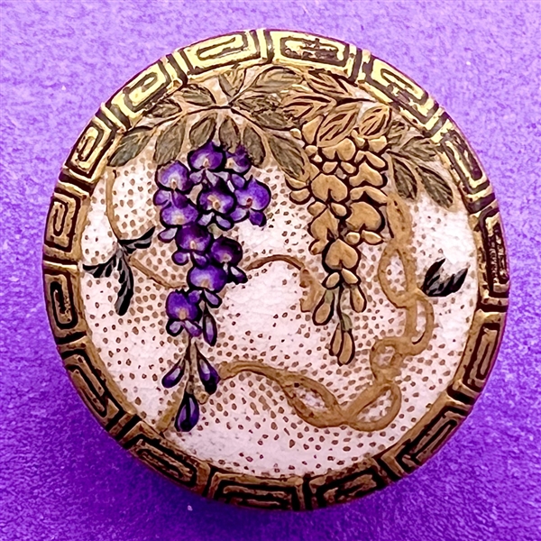 Satsuma button of Wisteria.