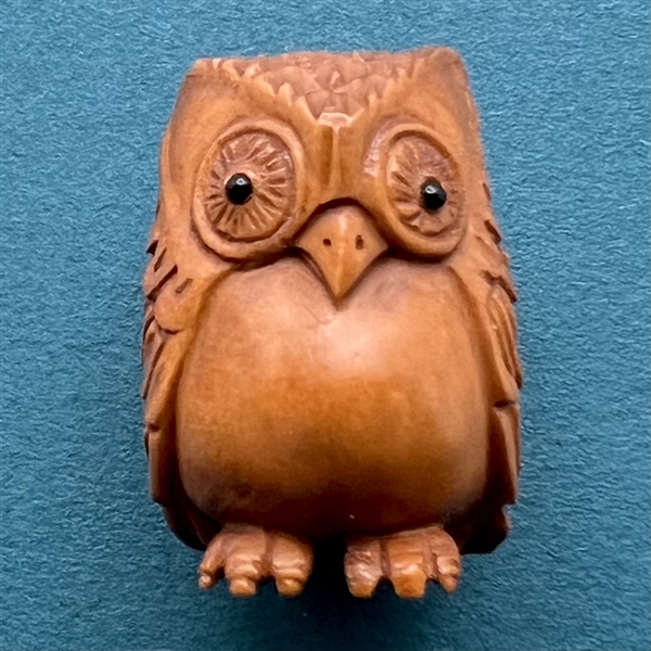 Boxwood button of wise owl.