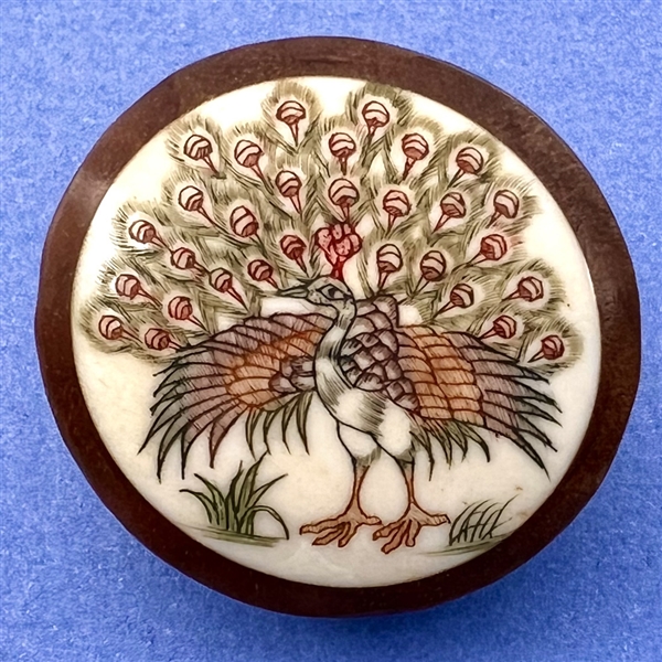 Displaying peacock woodbutton.