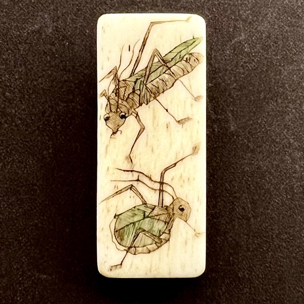 Rectangular bone button of insects.