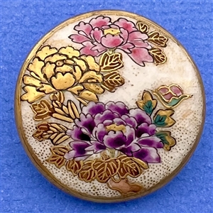 Satsuma button of peonies, spring flowers. 