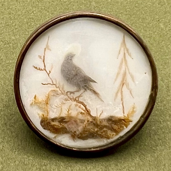 An 18th c. Habitat button of bird in foliage. 