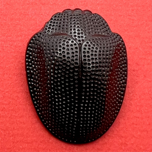 VERY RARE extra large sculptural black glass realistic scarab button.