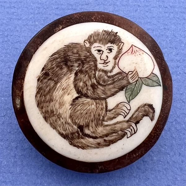 Monkey with turnip wood button.