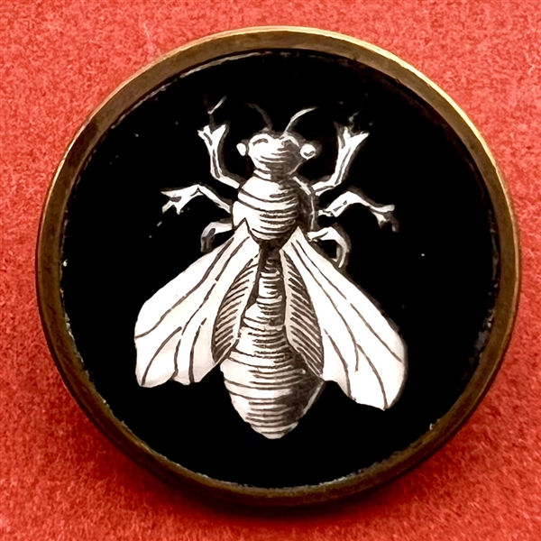 Monochrome Liverpool transfer button of a bee.