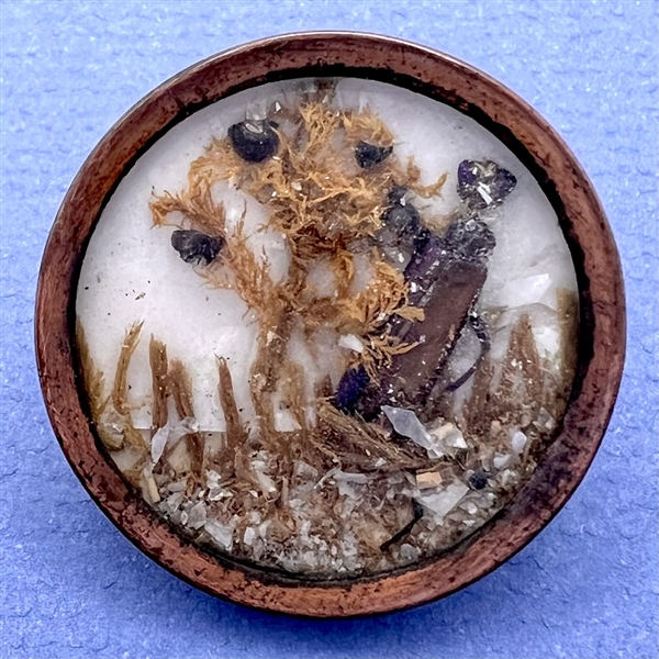 An 18th c. Habitat button of real bug and plants.