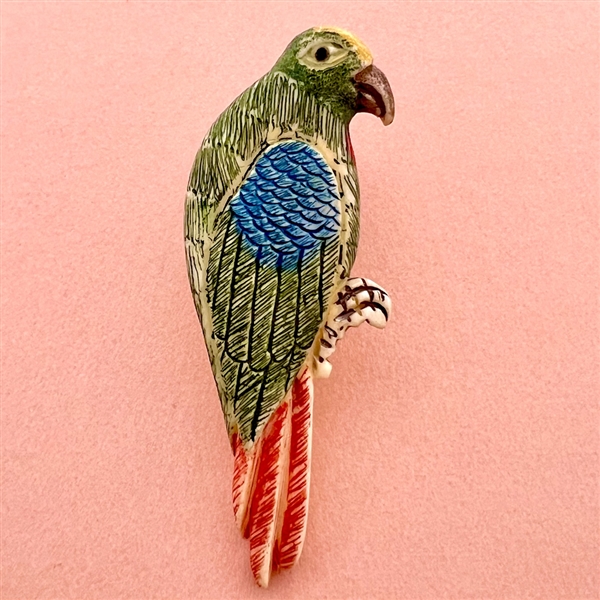 Extra large parrot natural material button.