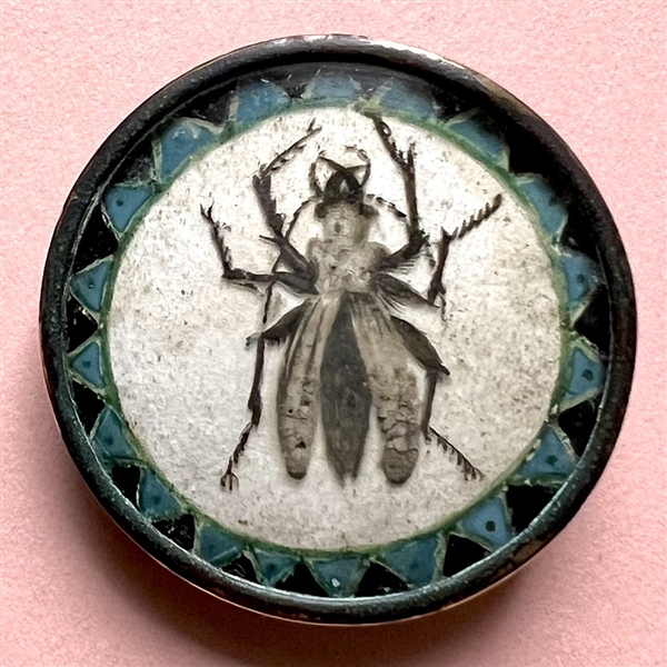 An 18th c. button of a beetle painted under glass.