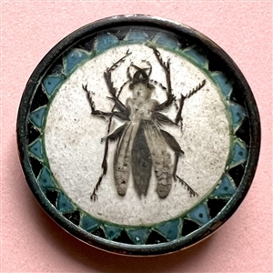 An 18th c. button of a beetle painted under glass.