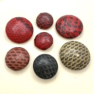 Seven snake skin buttons.