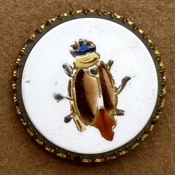 Glass sheet overlay button of a beetle.