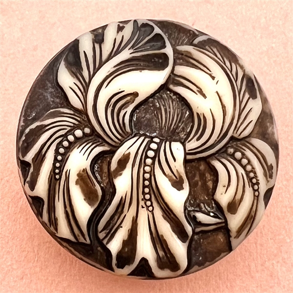 Molded light caramel glass button of an iris.