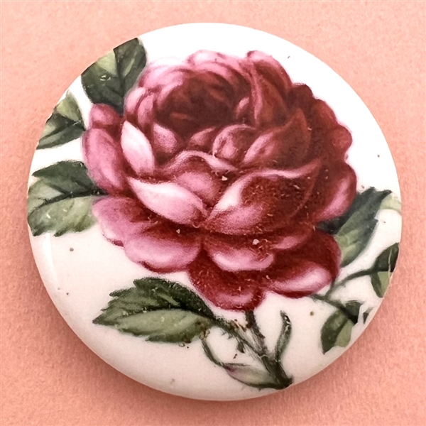 Porcelain studio button of a rose in bloom by Edith Morlock.