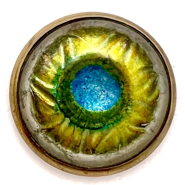 Glass in metal “peacock eye” button.