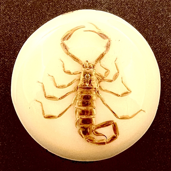 Real Scorpion under resin button.