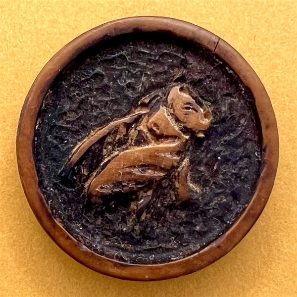 Wood button of a cicada.