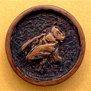 Wood button of a cicada.