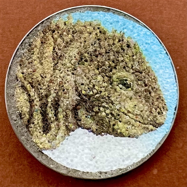 Studio button of a gila monster.