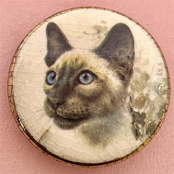 Studio ceramic button of a Siamese cat by Stella Rzanski. 