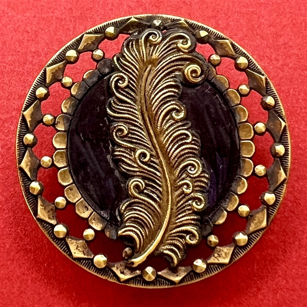 Brass button of a fancy feather.