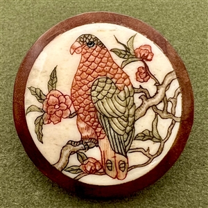 Natural material in boxwood button of a parrot.