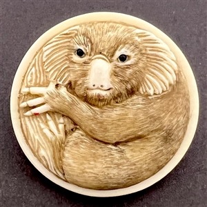 Carved natural material button of an Australian Koala bear.