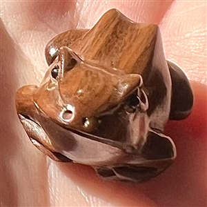 Realistic frog boxwood button.