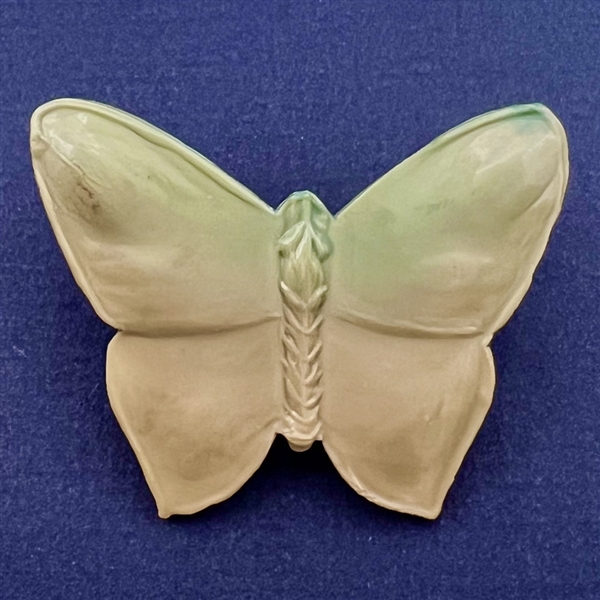 Vintage celluloid button of a realistic butterfly.