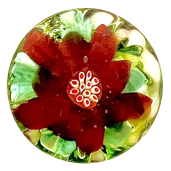 Glass paperweight studio button of a 3D poinsettia flower by Mary Gaumond.