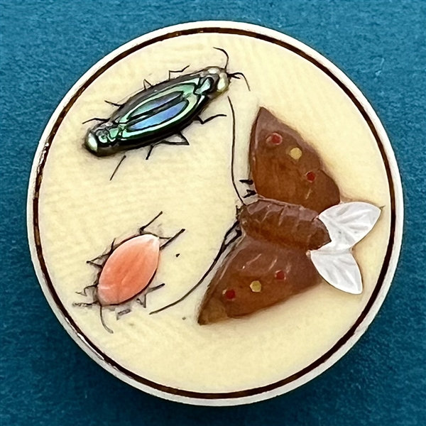 Shibayama button of three insects.