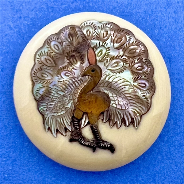 Shibayama button of a peacock.