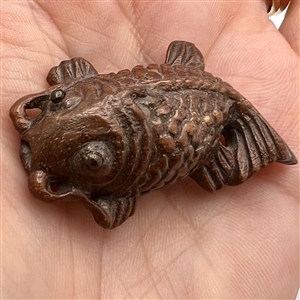 Boxwood button of a fish.