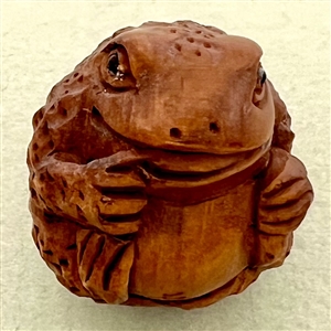 Boxwood button of a toad.