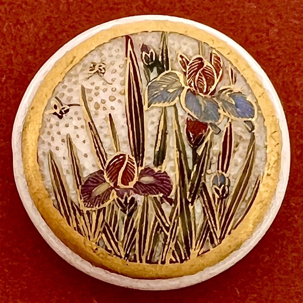 Satsuma button of iris with flying bugs.