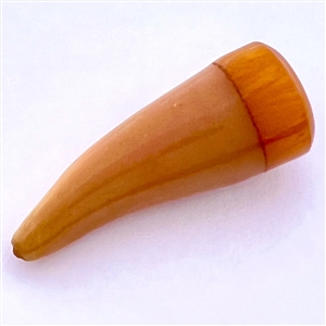 Celluloid button of a powder horn with Bakelite.