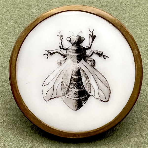 A 19th c. Liverpool transfer button of a bee.