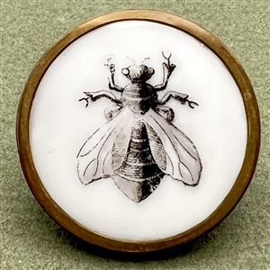 A 19th c. Liverpool transfer button of a bee.