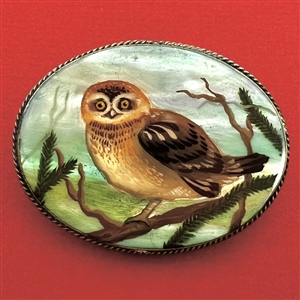 Large oval painted shell button of an owl.