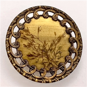 Very unusual Victorian habitat button of plant life under impressed celluloid.