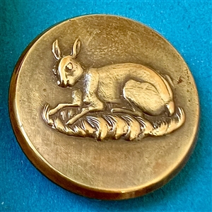 Sporting button of a resting hare.