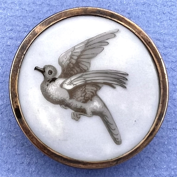 A 19th c. Liverpool transfer button of dove in flight.