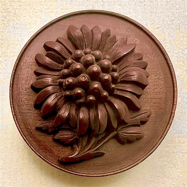 Extra large 19th c. Gutta-percha chrysanthemum on wood button.